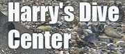 Harrys Dive Center - Harrys Dive Center